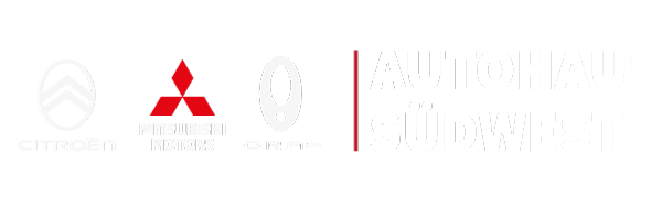 ORA Funky Cat | VOLL ELEKTRISIERT – AUTOHAUS SUEDWEST LEIPZIG